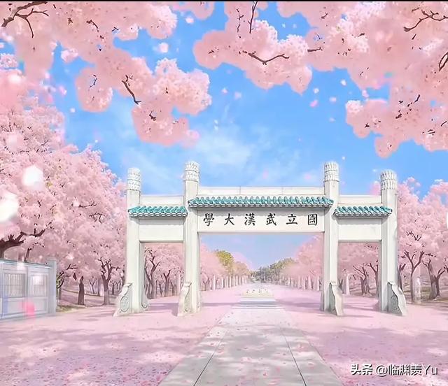 武大校园樱花的历史