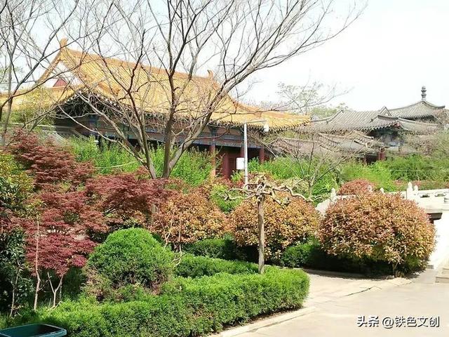 铁兵游记 | 枣庄铁道游击队纪念园和微山湖