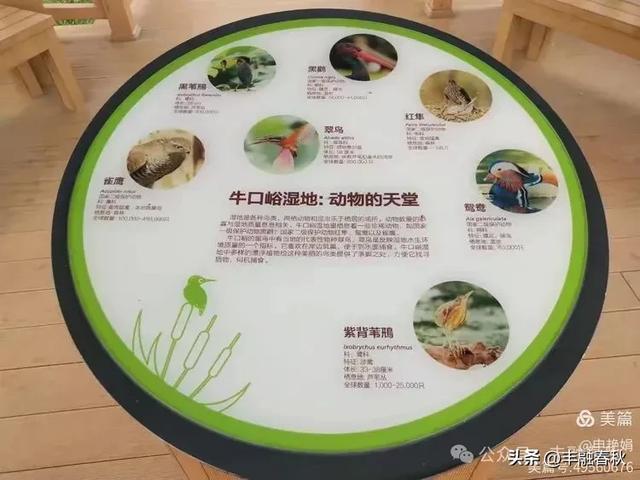 邂逅北京房山牛口峪湿地公园:工业废水的生态蝶变| 申艳娟