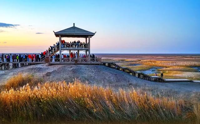 内蒙:雄伟壮观的额济纳沙漠!