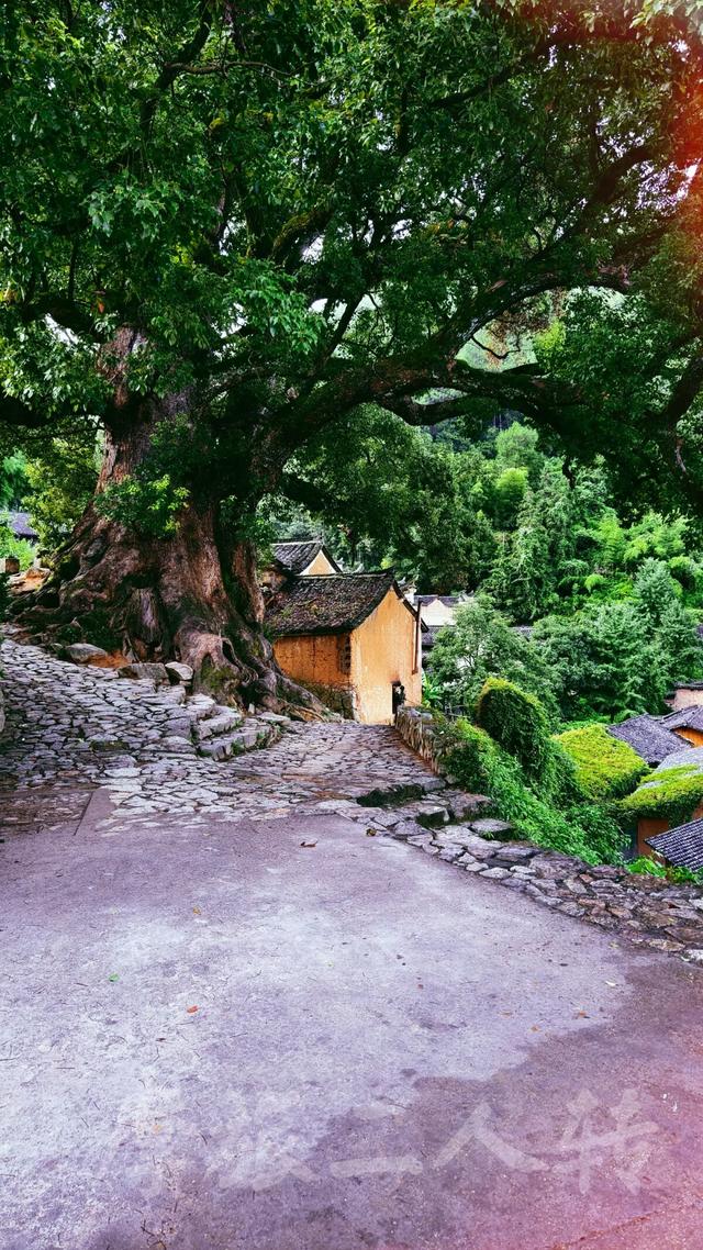 皖浙摩旅二人转——松阳杨家堂篇（下）