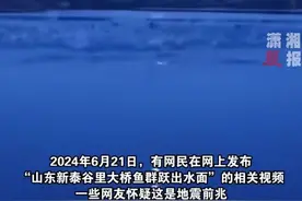 "山东异象齐发：鱼群跃水、地裂频发，是偶然还是大自然的警告？"图片