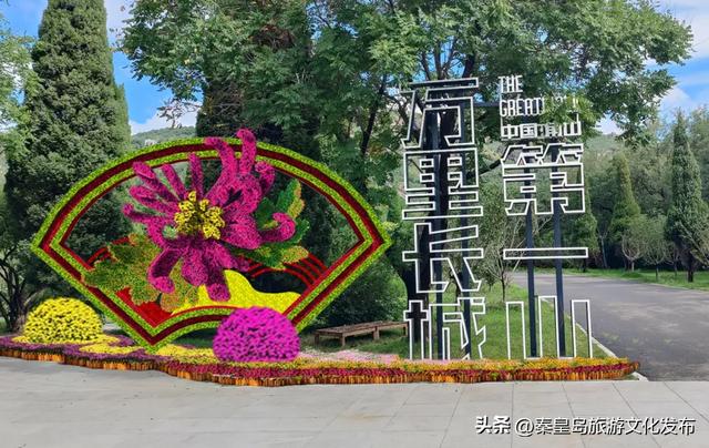 山海关长城金秋菊展即将启幕，精彩抢先看！