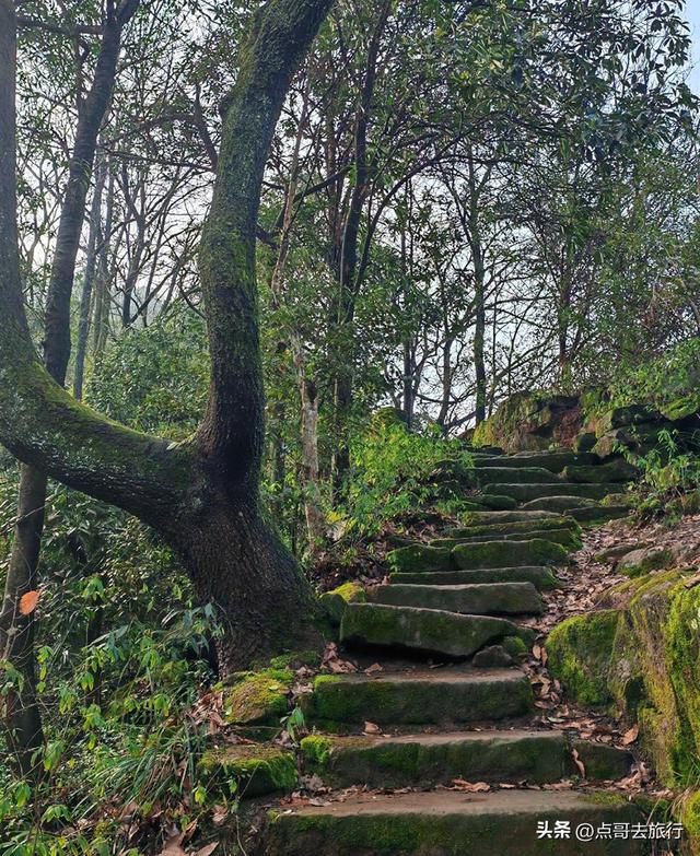 成都蒲江爆红徒步路线，观景台可观四姑娘山和贡嘎雪山，全部免费