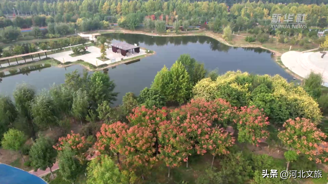 邯郸，你别太好逛了！