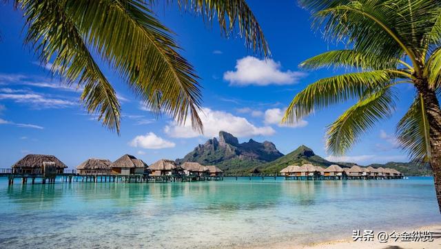 12月旅行去哪？这四季同框攻略，让你玩转冰雪、赏秋、寻花、避寒