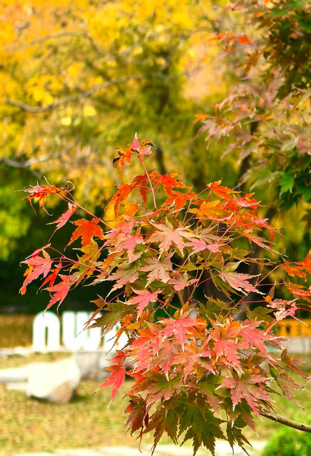 浞景无边，快乐亦无边~