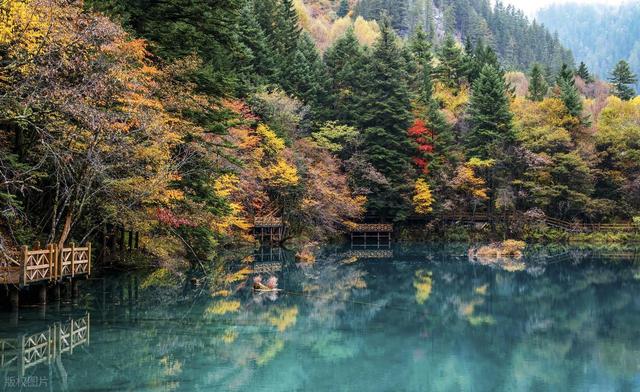 从湖南去了一趟九寨沟，实话实说，回来才发现朋友圈都是骗人的？