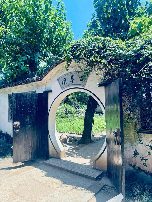 绍兴文旅也没想到，投诉鲁迅墙画的孙女士，竟给鲁迅故里做了嫁衣