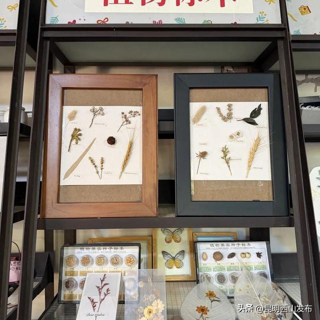在昆明这个“非遗乐园”，我亲手捏出瓦猫、染出蓝花布，把老手艺玩成了新乐趣！
