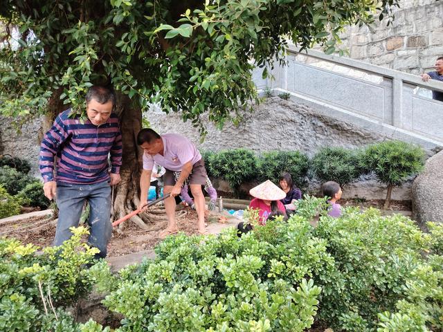 甲子待渡山，初冬披绿迎宾客