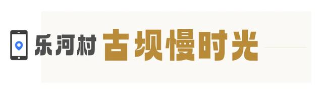 武汉版“小川藏”！黄陂8条绝美自驾线来啦