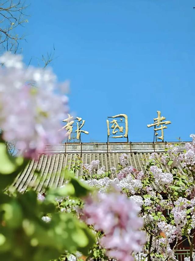 十月文学月 | “北京范儿”文学地标推荐,快来打卡文学中的北京!