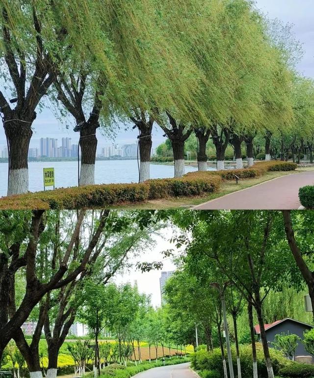 愿得一烤串，烟火绕心间！快来临沂这些免费露营地撸串~