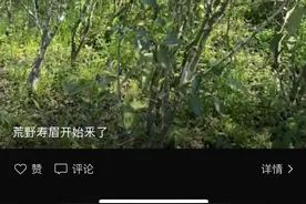 我是常年跑茶叶源头市场的，在这里给茶农朋友一个忠告图片