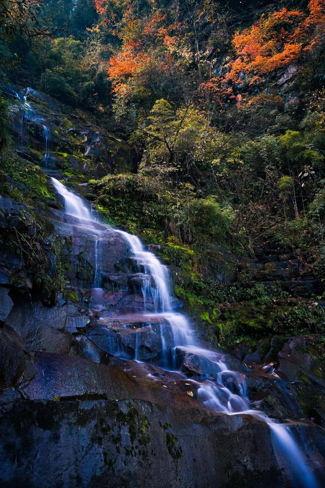 走，到屏山老君山赏秋去→