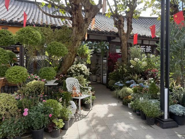秋日出游，点击解锁新津“三适”出行锦囊→