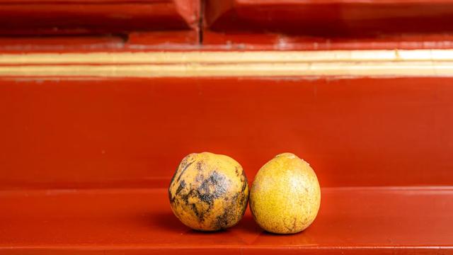 北京最新秋日打卡地 · 再看要等明年