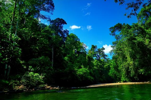 随手拍拍都是美景——带你走进文莱