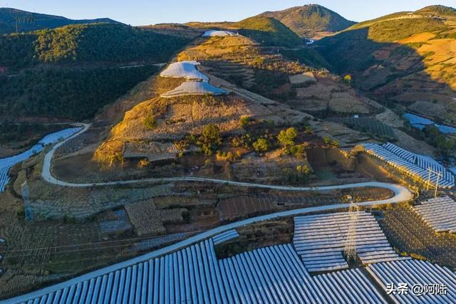 如果你正在大理摆烂,这条被果园包围的乡村小道很值得去跑一跑