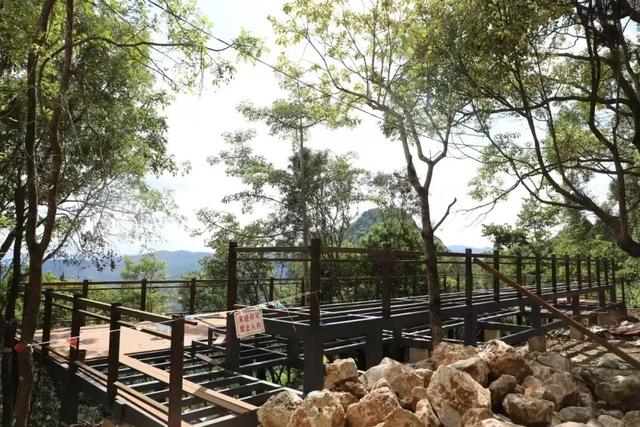 普洱山“云海季”来了！邀你一起“云”赏云~