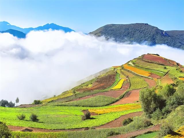 邂逅浪漫秘境 拥抱灵气氧吧