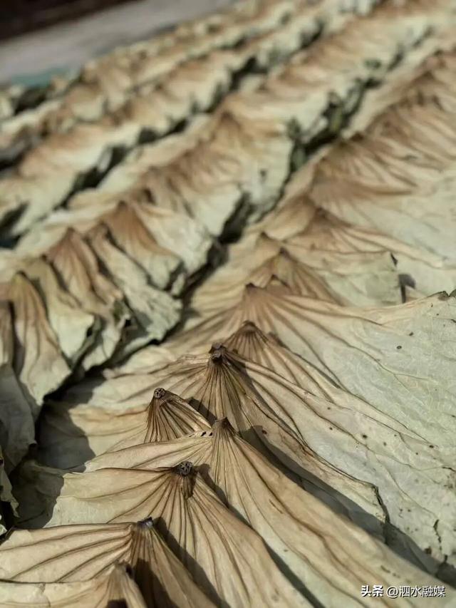 咔嚓🤳！抓住济宁秋天的“小尾巴”~