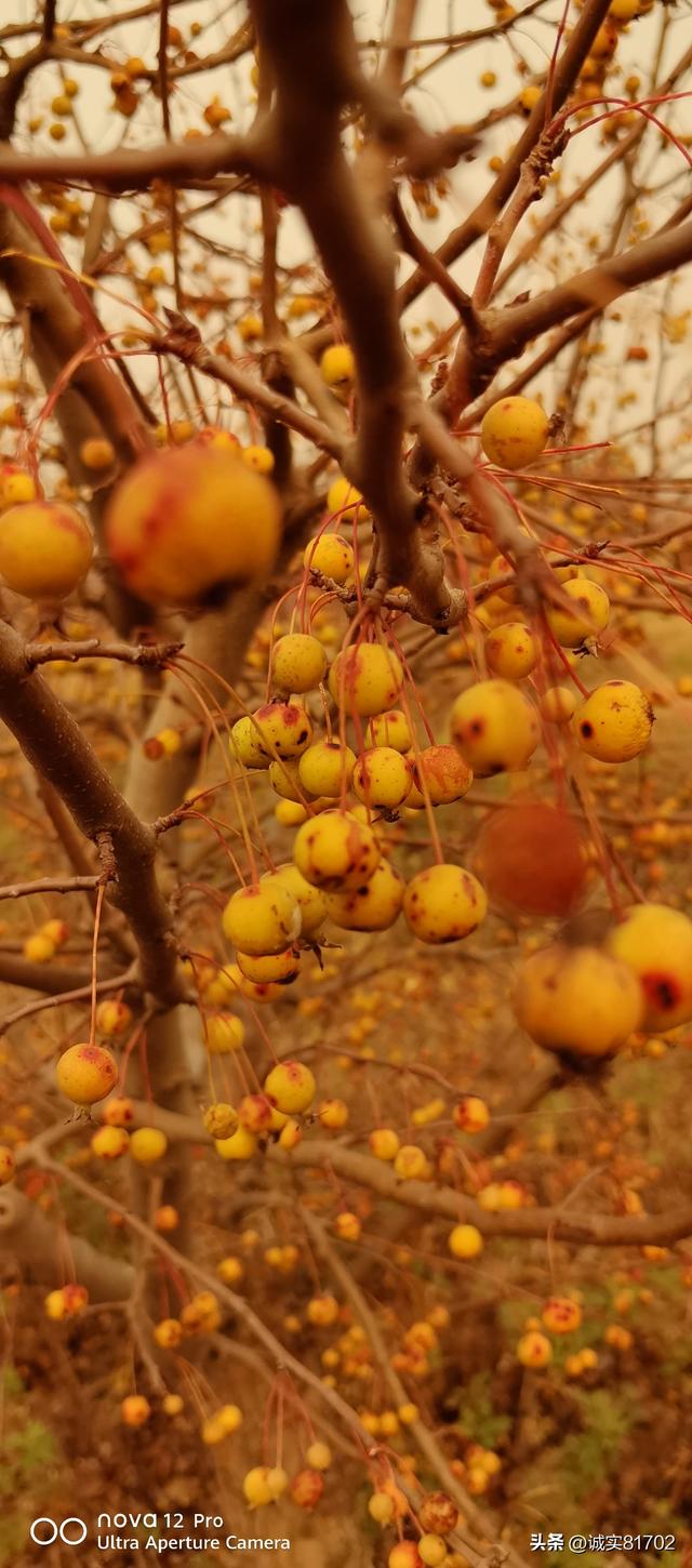 现实版的背信弃义的人，竟然挖了朋友的墙角
