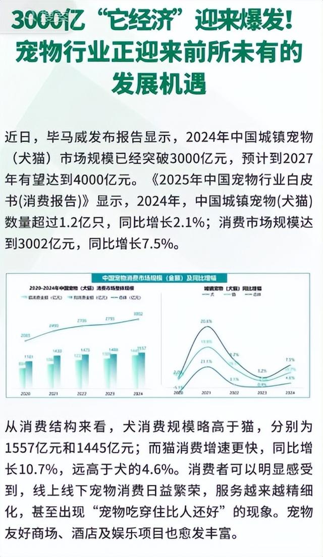 市场规模破8114亿！AI 萌宠热度暴涨，博主月入 50 万，盈利方式炸裂