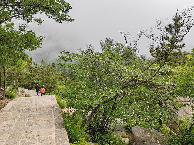 去爬崂山（仰口与太清两座山）