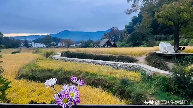 与三联同行，行走黄山不止于“雾凇限定”