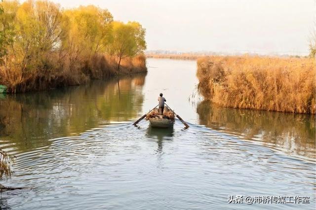 秋日白洋淀：千年水墨的自然魅力与人文故事