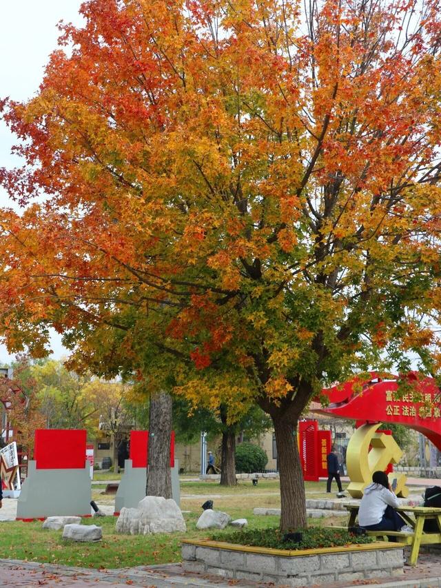 出片率UP！UP！UP！潍坊这里好美啊！