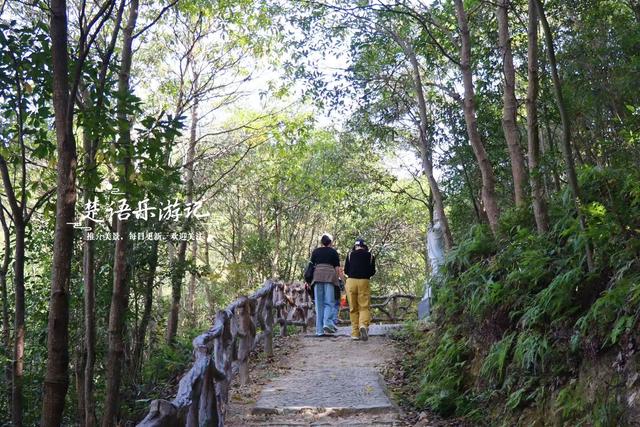 最新快报来了！浙江宁波最负盛名的长寿村变了，推出几十处新风景