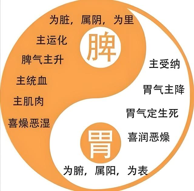 气血是通出来的，而不是补出来的。教你一招先通后补