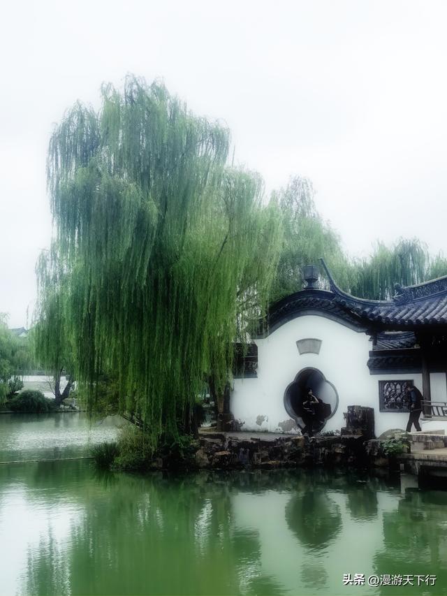 烟雨中重游瘦西湖，狂拍美景，整个人醉卧美景中
