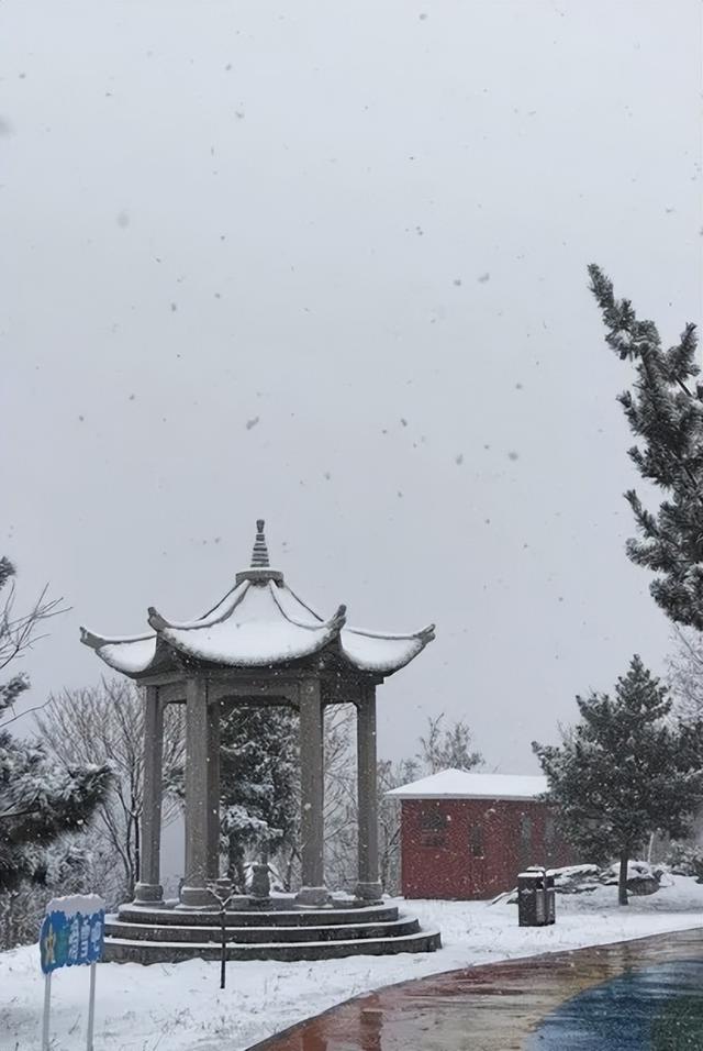 银装素裹莲青山，解锁山东冬日颜值天花板！