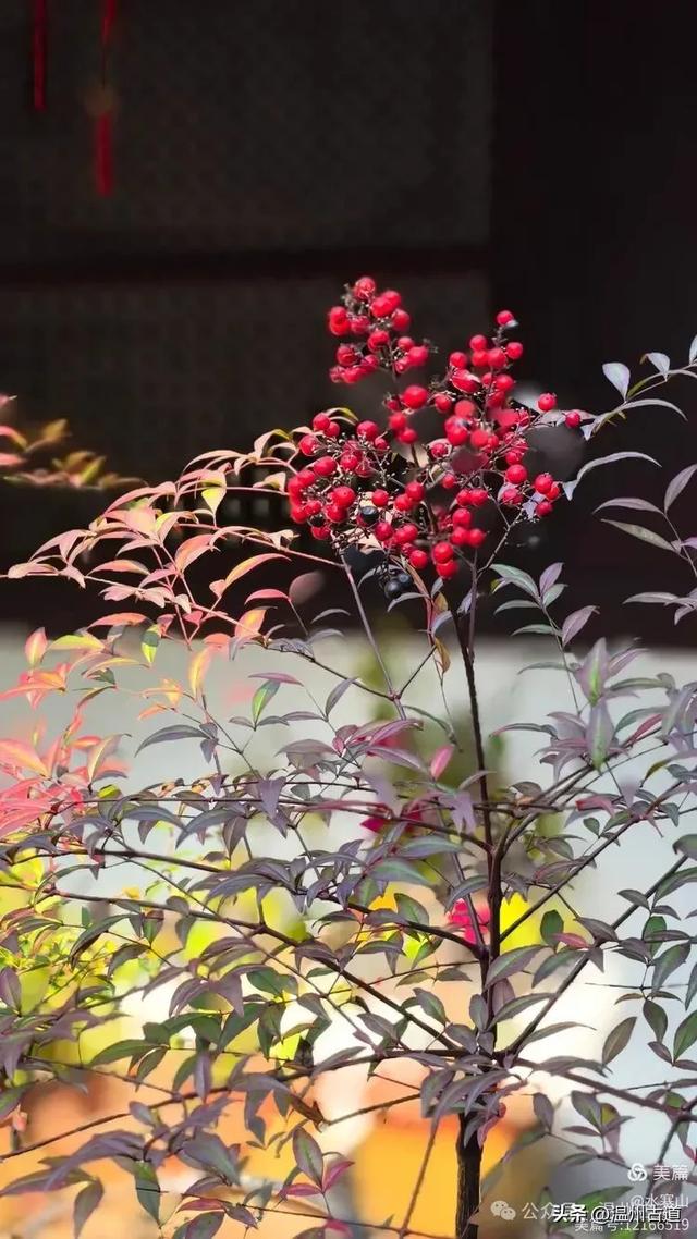 探秘道教第二大洞天，全真教始祖道场！浙江这座仙山你可去过？