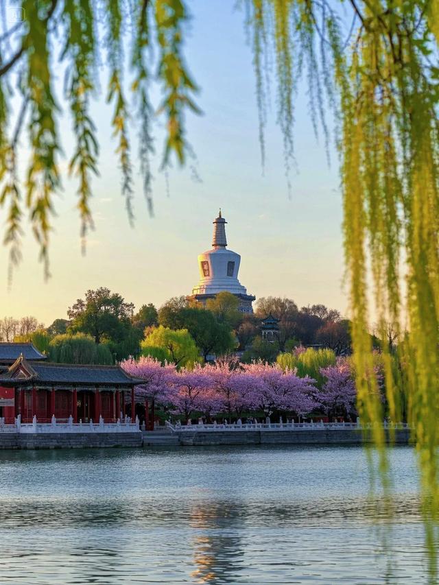 为什么北京的公园要收费？答案可能跟你想的不一样...