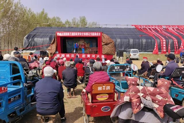 别找了 春天最美的花海就在肥城市安驾庄