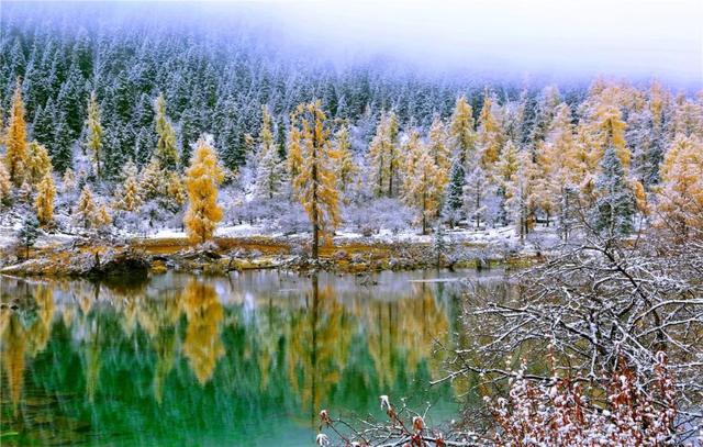 接下来，小金是这样的~