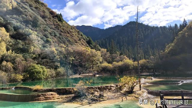 今年的彩林，选择了神仙池（嫩恩桑措）