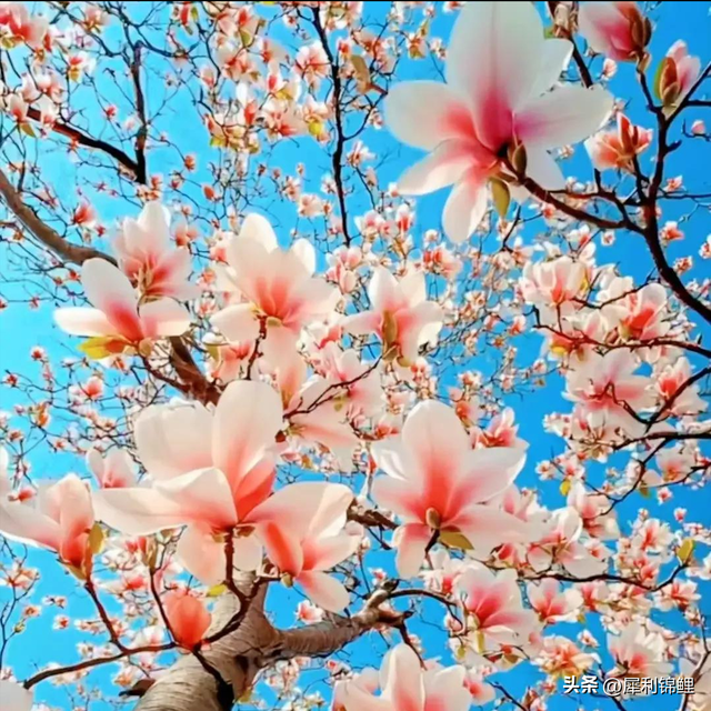 公公守住这3条铁律，儿媳自然尊重你！多少家庭矛盾都从越界开始