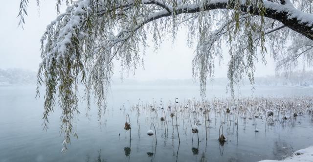 围绕“雪后的颐和园美成一幅流动的中式水墨画