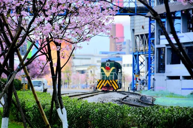 三条工业旅游线路,解锁韶关硬核外壳下的柔情往事~