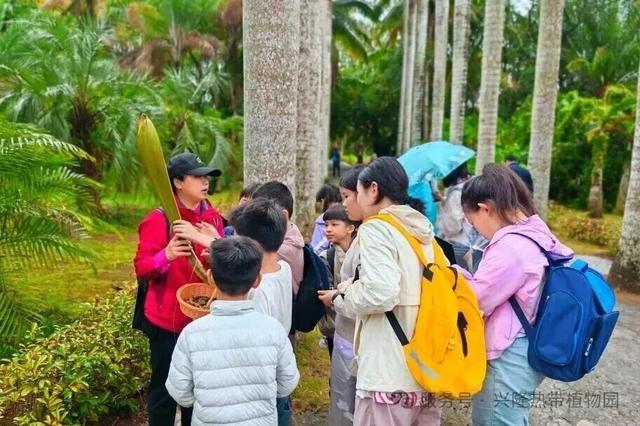春节游万宁兴隆｜解锁热带归侨的暖冬年味！