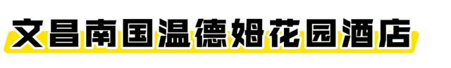 海口经济圈 | 文昌宠粉福利来袭→