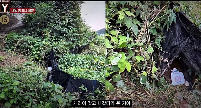 22岁女网红被杀，50岁榜一大哥被捕，钱都是借的，打赏文化太危险