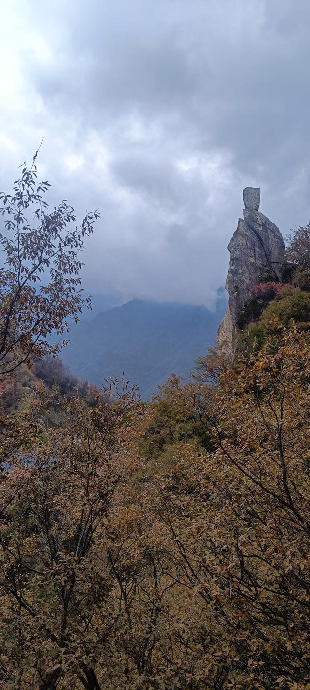 最爱秋意行不足 再上翠华赏秋色