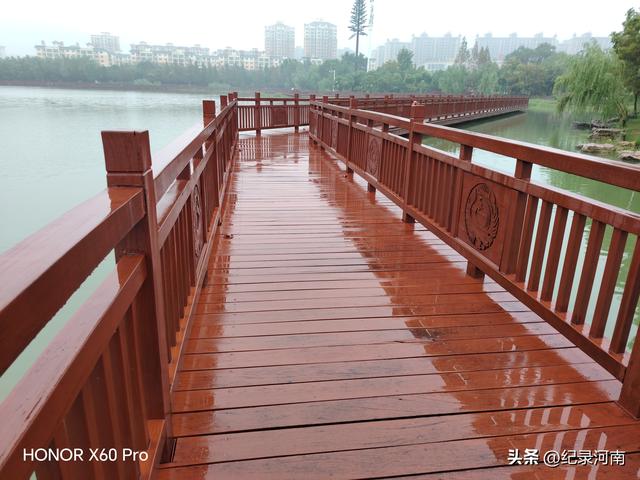 七上八下全国文明城市柘城县迎来汛期，晨练国家湿地公园榕湖发现